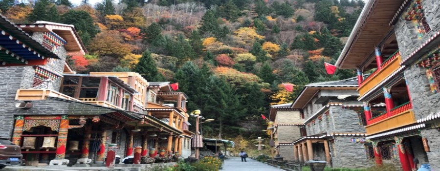 米亚罗旅游